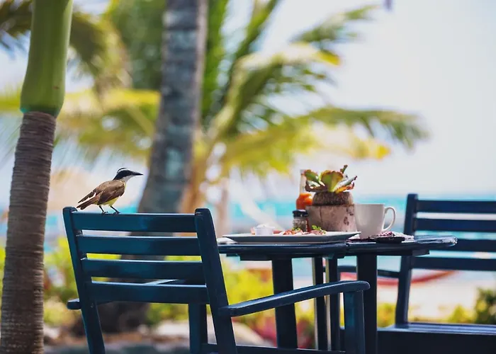 Hotel Pelican Reef *